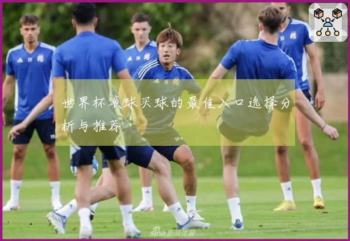 世界杯滚球买球的最佳入口选择分析与推荐