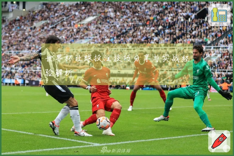 世界杯让球投注技巧分享与实战经验解析