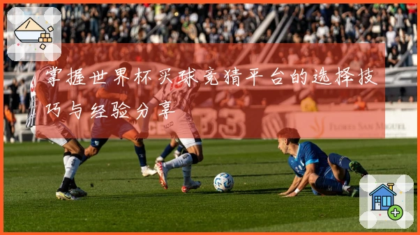 掌握世界杯买球竞猜平台的选择技巧与经验分享