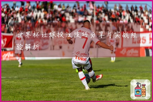 世界杯让球投注技巧分享与实战经验解析