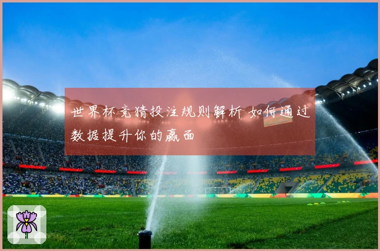 世界杯竞猜投注规则解析 如何通过数据提升你的赢面
