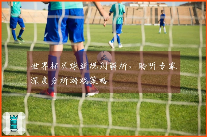 世界杯买球新规则解析，聆听专家深度分析游戏策略