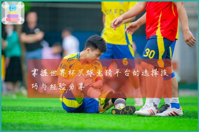 掌握世界杯买球竞猜平台的选择技巧与经验分享