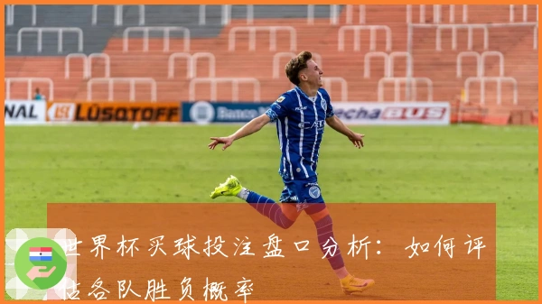 世界杯买球投注盘口分析：如何评估各队胜负概率