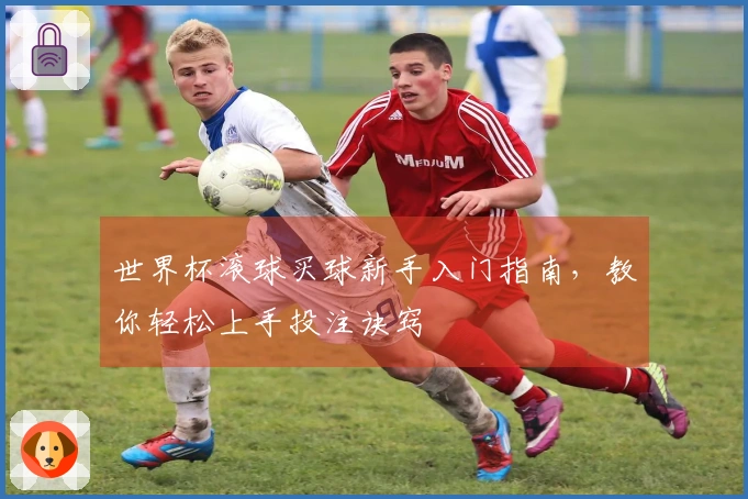世界杯滚球买球新手入门指南，教你轻松上手投注诀窍