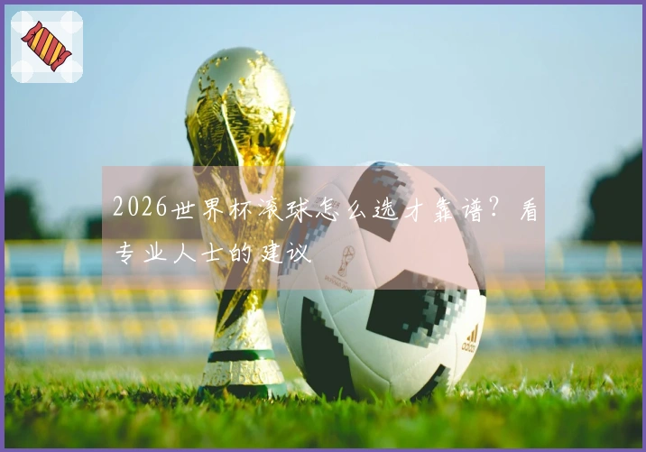 2026世界杯滚球怎么选才靠谱？看专业人士的建议